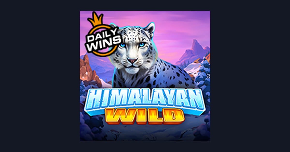 Himalayan Wild: Raih Jackpot Progresif Terbesar dengan Sensasi Pegunungan