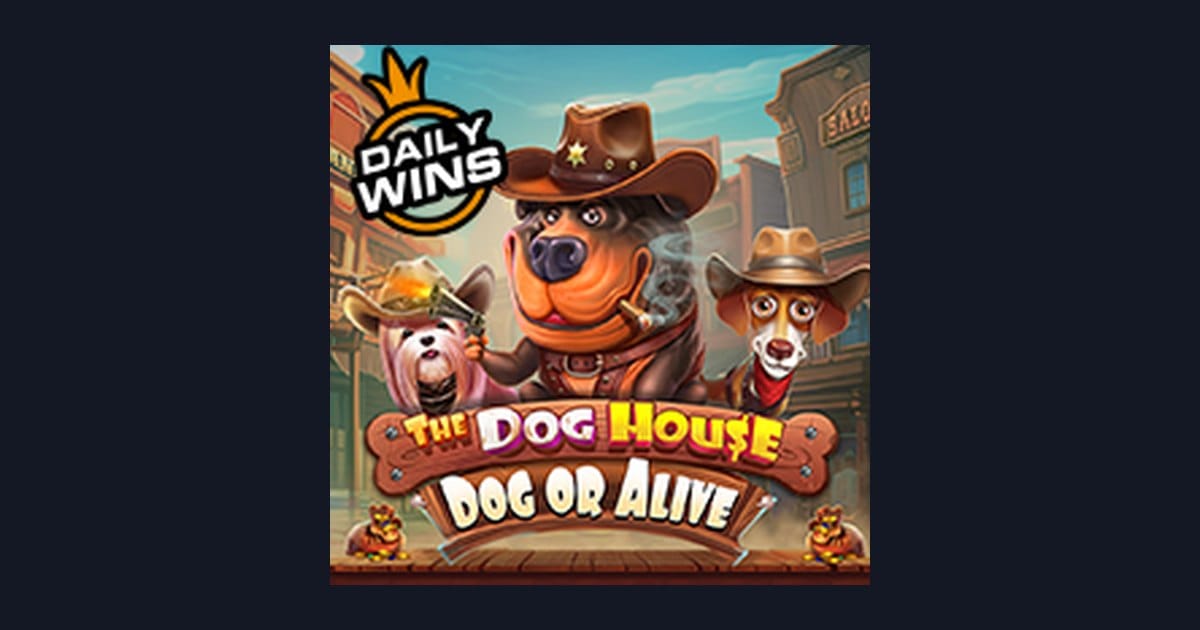 Strategi dan Tips Pola Maxwin di Slot The Dog House Dog Or Alive